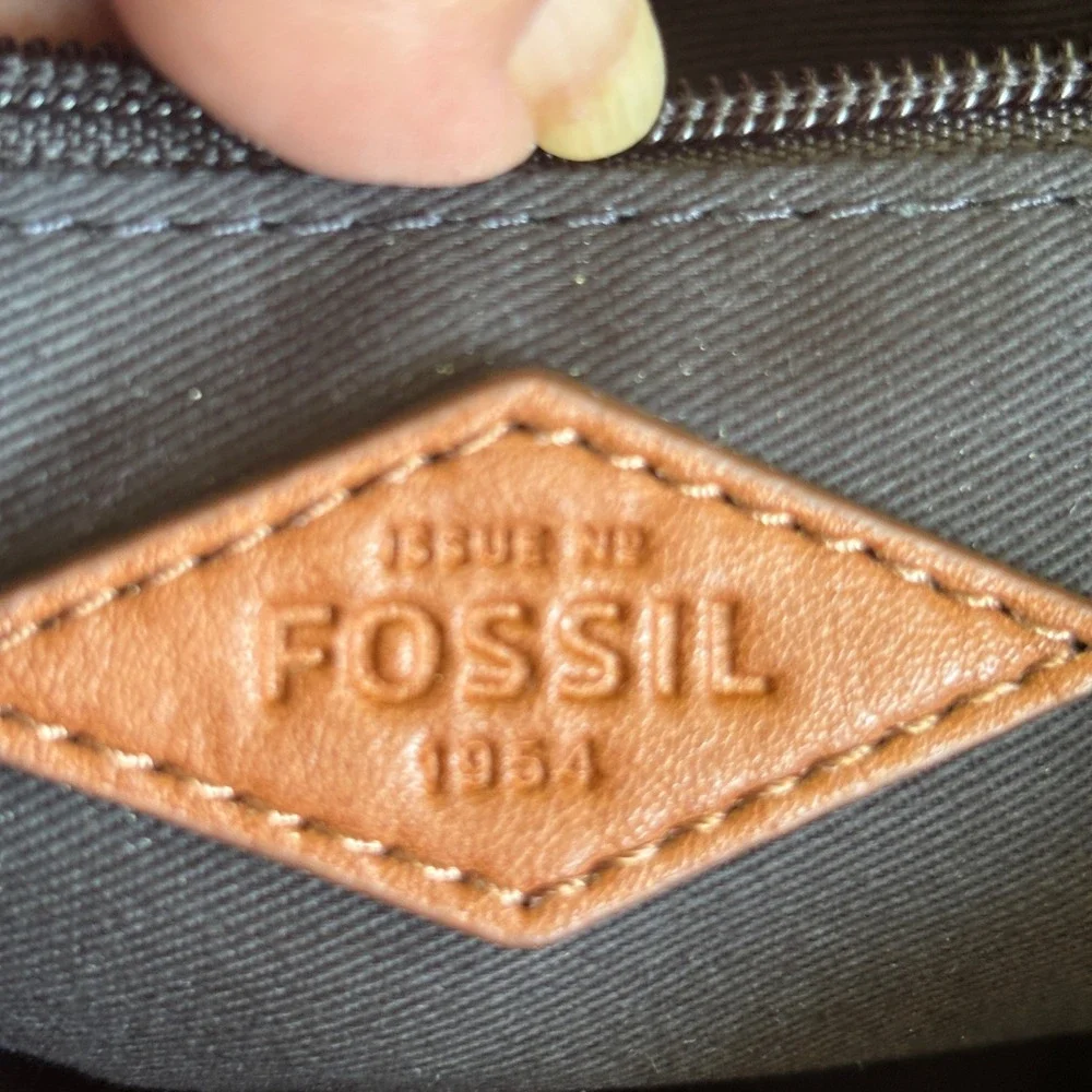 Fossil Passport EW Satchel Women Crossbody multicolor Striped Canvas New